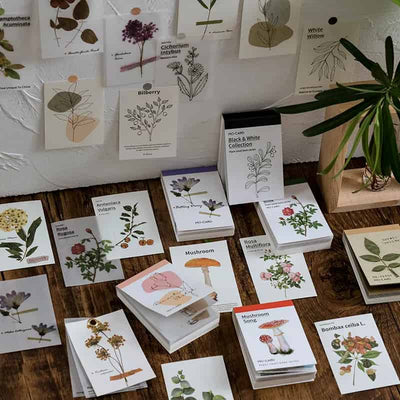 MO·CARD - Libro Pegatinas 50 ud- Black & White