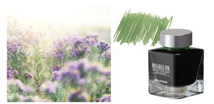 Platinum - Pluma Estilográfica - #3776 CENTURY - Misty Bloom